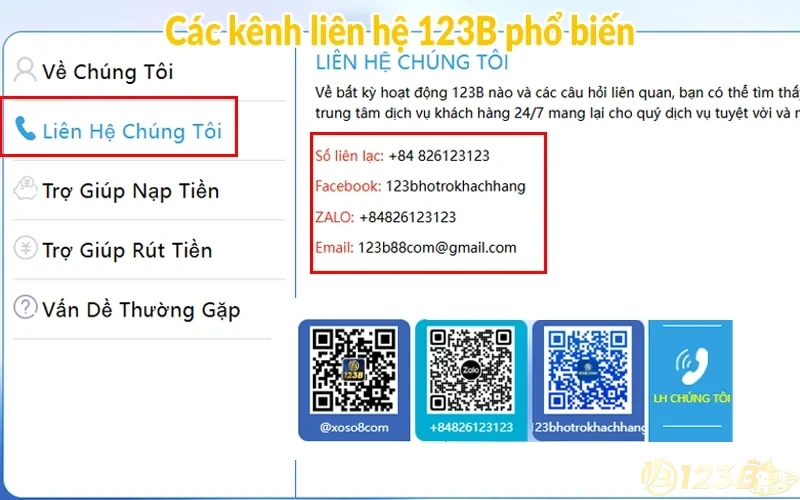 Liên hệ 123B - Chăm sóc khách hàng có tâm nhất Việt Nam 2 Các kênh liên hệ 123B phổ biến