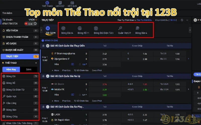 Thể Thao 123B - Trải nghiệm nhiều trận đấu hấp dẫn 3 Top môn Thể Thao nổi trội tại 123B